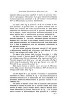 giornale/TO00209791/1933/V.18/00000215