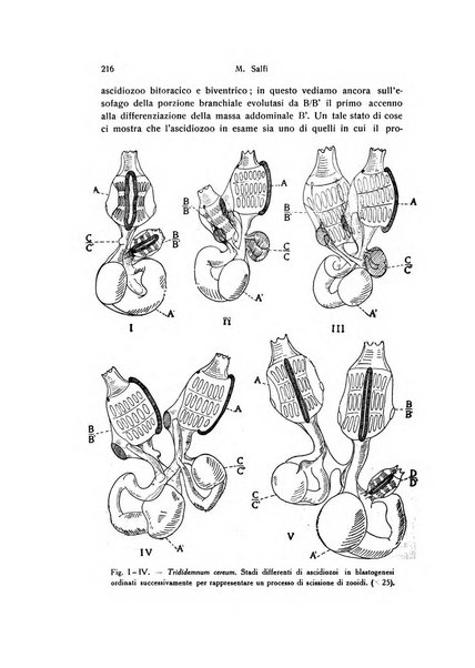 Archivio zoologico italiano pubblicato sotto gli auspicii della Unione Zoologica