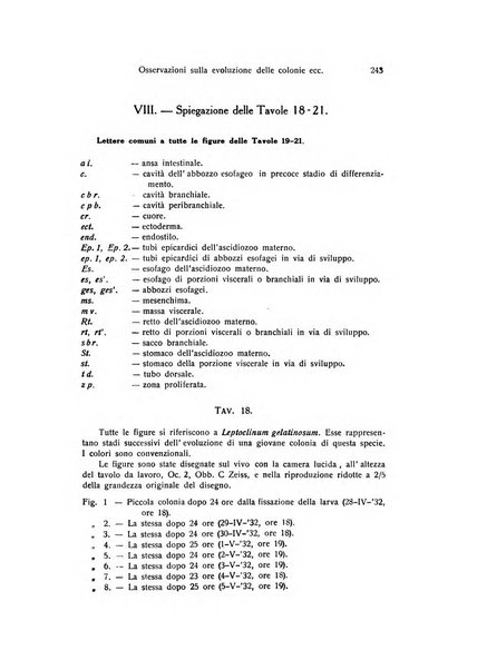 Archivio zoologico italiano pubblicato sotto gli auspicii della Unione Zoologica