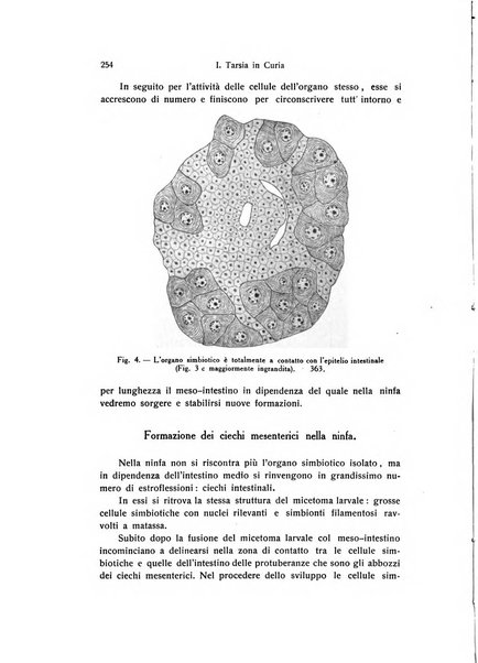 Archivio zoologico italiano pubblicato sotto gli auspicii della Unione Zoologica