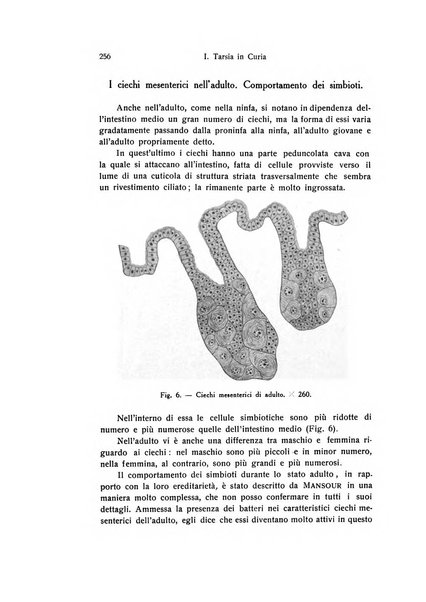 Archivio zoologico italiano pubblicato sotto gli auspicii della Unione Zoologica