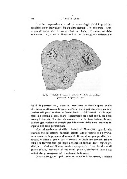 Archivio zoologico italiano pubblicato sotto gli auspicii della Unione Zoologica