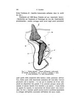 giornale/TO00209791/1933/V.18/00000384