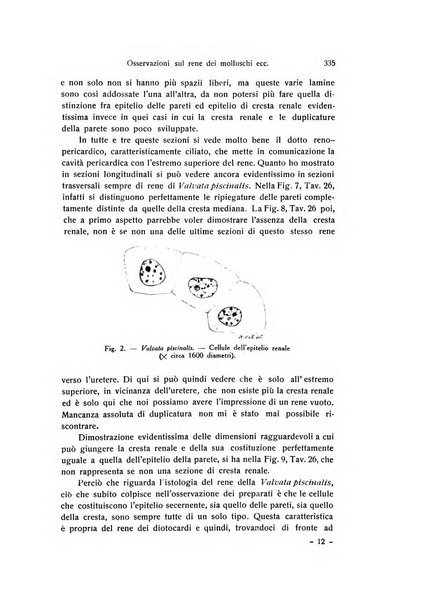 Archivio zoologico italiano pubblicato sotto gli auspicii della Unione Zoologica