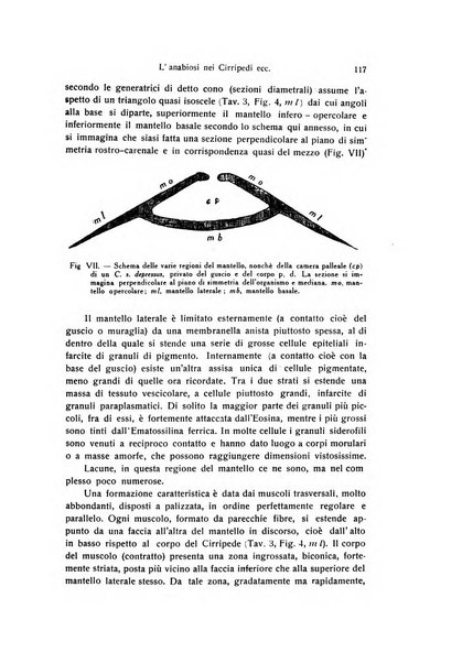 Archivio zoologico italiano pubblicato sotto gli auspicii della Unione Zoologica