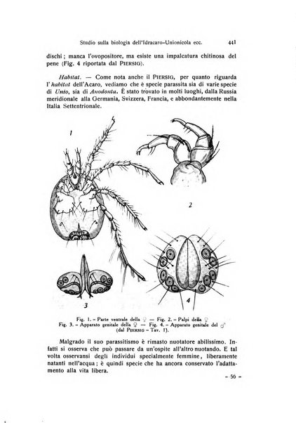 Archivio zoologico italiano pubblicato sotto gli auspicii della Unione Zoologica