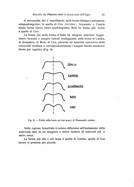 Archivio zoologico italiano pubblicato sotto gli auspicii della Unione Zoologica