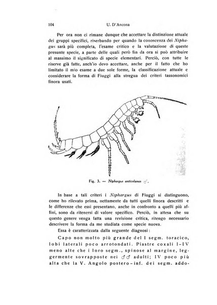 Archivio zoologico italiano pubblicato sotto gli auspicii della Unione Zoologica