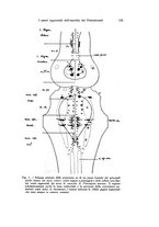 giornale/TO00209791/1934/unico/00000165