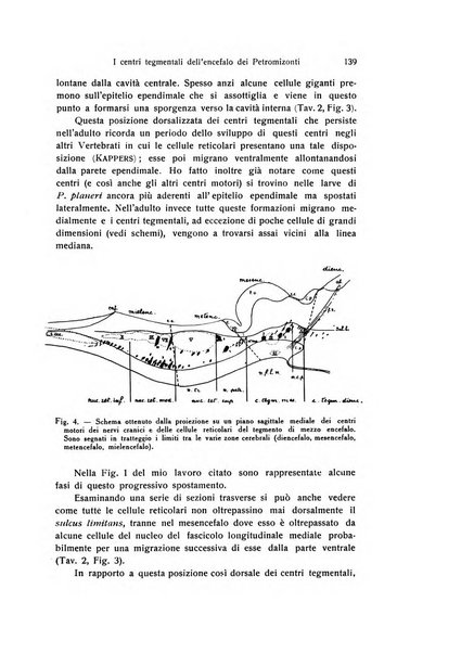 Archivio zoologico italiano pubblicato sotto gli auspicii della Unione Zoologica