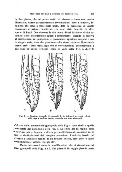 Archivio zoologico italiano pubblicato sotto gli auspicii della Unione Zoologica