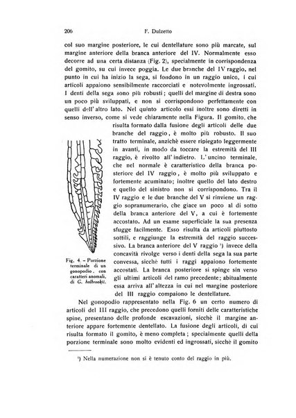 Archivio zoologico italiano pubblicato sotto gli auspicii della Unione Zoologica