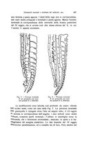 giornale/TO00209791/1934/unico/00000237