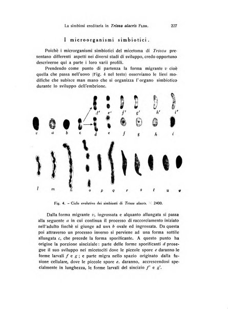 Archivio zoologico italiano pubblicato sotto gli auspicii della Unione Zoologica