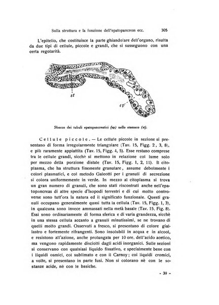 Archivio zoologico italiano pubblicato sotto gli auspicii della Unione Zoologica