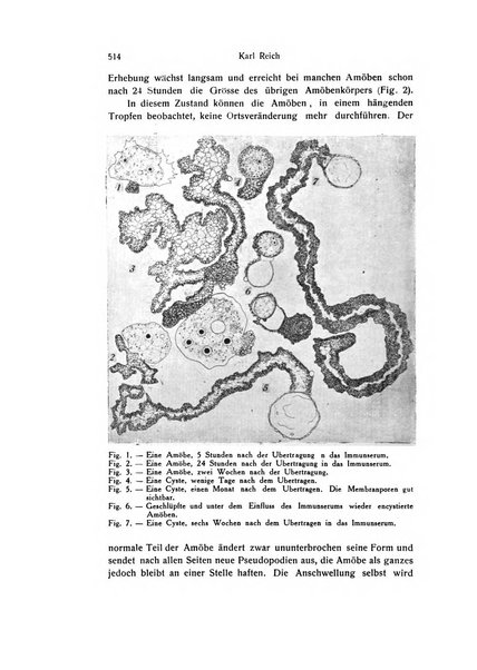 Archivio zoologico italiano pubblicato sotto gli auspicii della Unione Zoologica