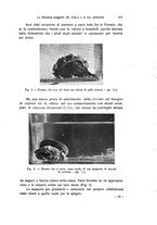 giornale/TO00209791/1935/V.21/00000575