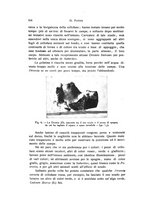 giornale/TO00209791/1935/V.21/00000578