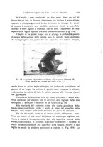 giornale/TO00209791/1935/V.21/00000581