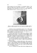 giornale/TO00209791/1935/V.21/00000582