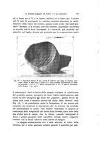 giornale/TO00209791/1935/V.21/00000589