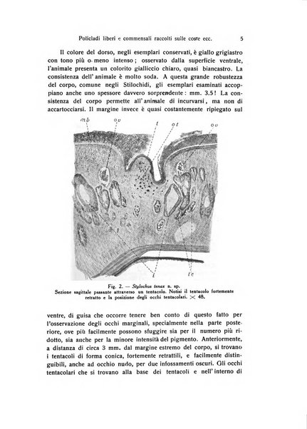 Archivio zoologico italiano pubblicato sotto gli auspicii della Unione Zoologica