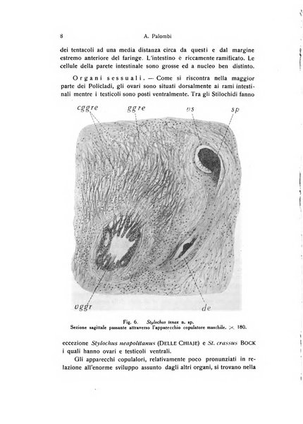 Archivio zoologico italiano pubblicato sotto gli auspicii della Unione Zoologica