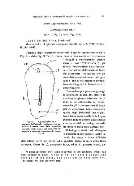 Archivio zoologico italiano pubblicato sotto gli auspicii della Unione Zoologica