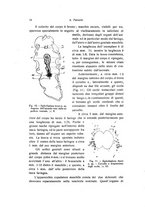 giornale/TO00209791/1936/unico/00000024