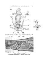 giornale/TO00209791/1936/unico/00000031