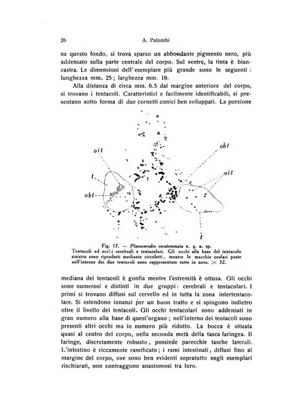 Archivio zoologico italiano pubblicato sotto gli auspicii della Unione Zoologica