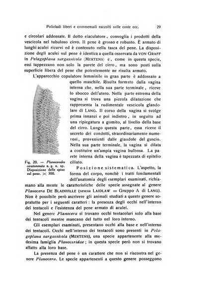 Archivio zoologico italiano pubblicato sotto gli auspicii della Unione Zoologica