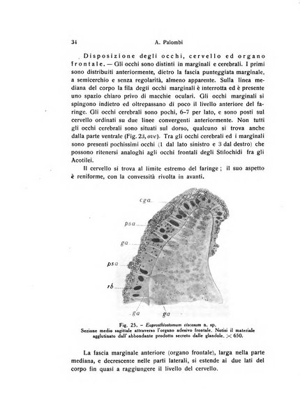 Archivio zoologico italiano pubblicato sotto gli auspicii della Unione Zoologica