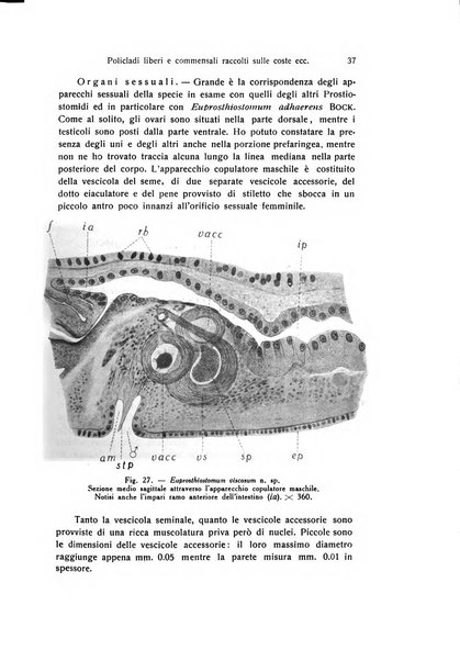 Archivio zoologico italiano pubblicato sotto gli auspicii della Unione Zoologica