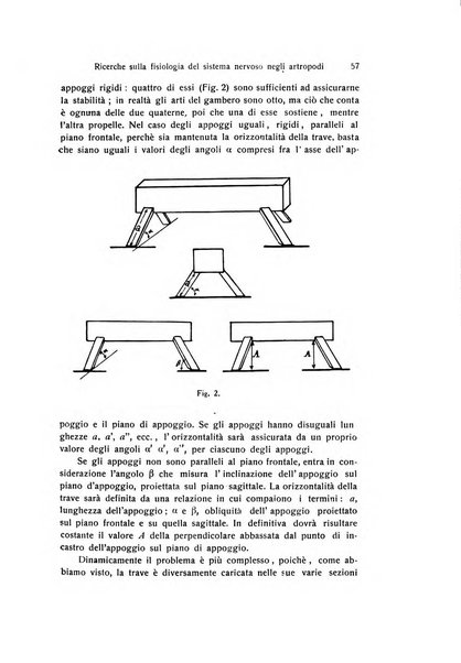 Archivio zoologico italiano pubblicato sotto gli auspicii della Unione Zoologica