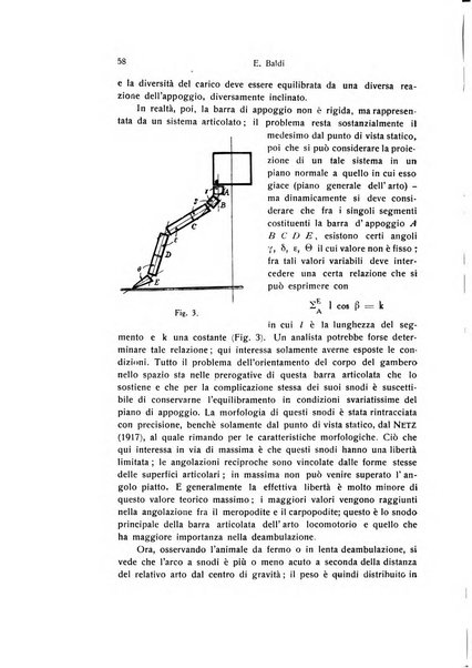 Archivio zoologico italiano pubblicato sotto gli auspicii della Unione Zoologica