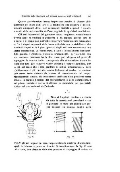 Archivio zoologico italiano pubblicato sotto gli auspicii della Unione Zoologica