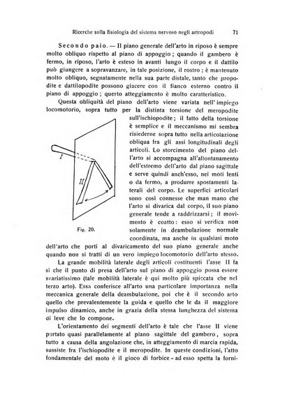 Archivio zoologico italiano pubblicato sotto gli auspicii della Unione Zoologica