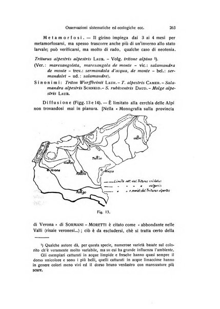 Archivio zoologico italiano pubblicato sotto gli auspicii della Unione Zoologica