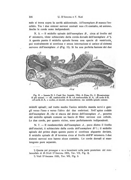 Archivio zoologico italiano pubblicato sotto gli auspicii della Unione Zoologica