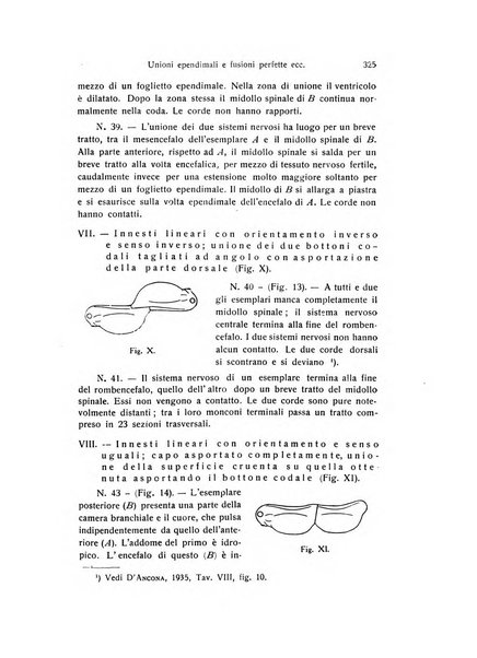 Archivio zoologico italiano pubblicato sotto gli auspicii della Unione Zoologica