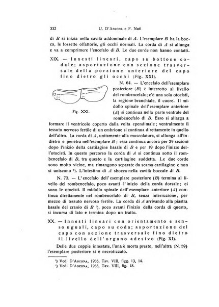 Archivio zoologico italiano pubblicato sotto gli auspicii della Unione Zoologica