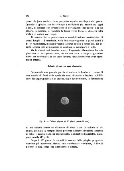 Archivio zoologico italiano pubblicato sotto gli auspicii della Unione Zoologica