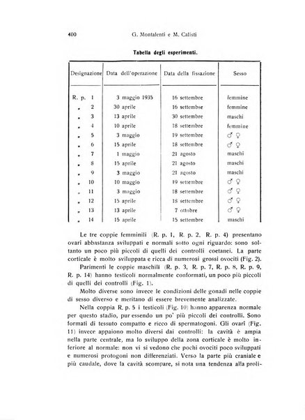 Archivio zoologico italiano pubblicato sotto gli auspicii della Unione Zoologica