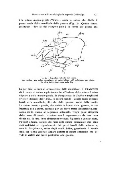 Archivio zoologico italiano pubblicato sotto gli auspicii della Unione Zoologica