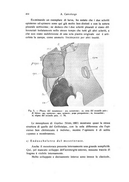 Archivio zoologico italiano pubblicato sotto gli auspicii della Unione Zoologica