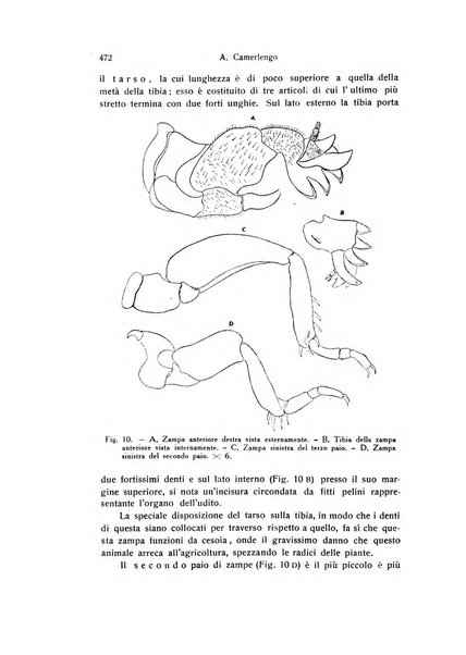 Archivio zoologico italiano pubblicato sotto gli auspicii della Unione Zoologica