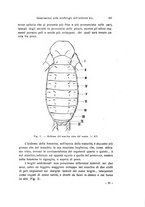 giornale/TO00209791/1936/unico/00000491