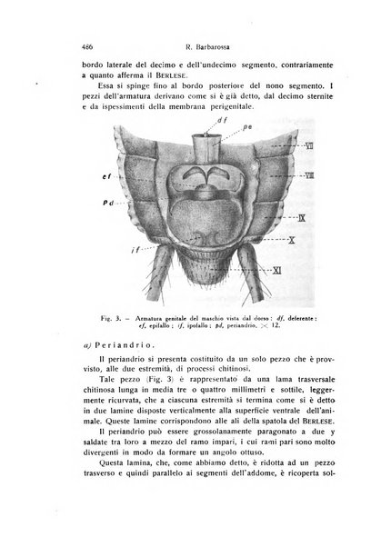 Archivio zoologico italiano pubblicato sotto gli auspicii della Unione Zoologica