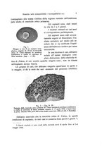 giornale/TO00209791/1937/unico/00000017